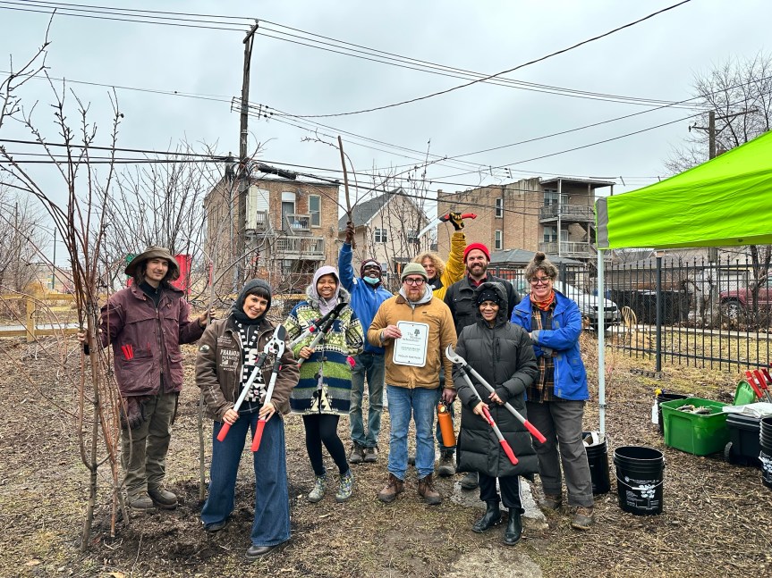 Pruning in the&nbsp;Rain